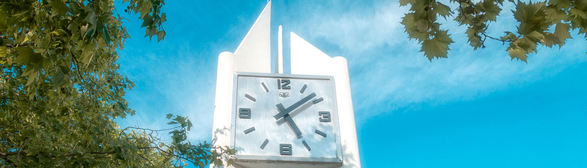 注册送彩金白菜